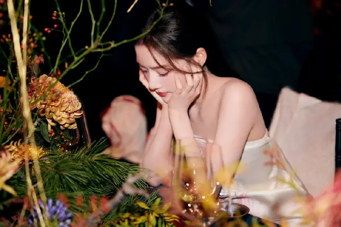 汉化补丁使用场景示意图